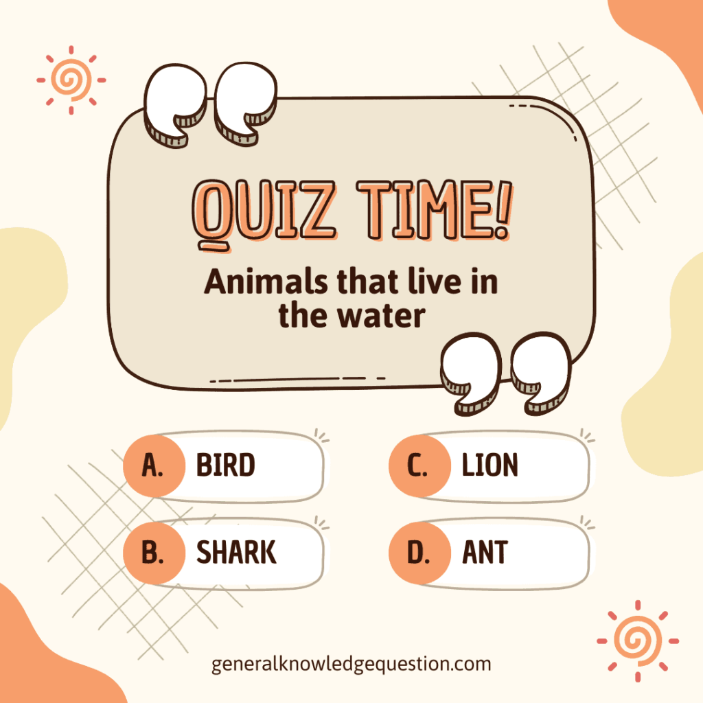 Kids quiz