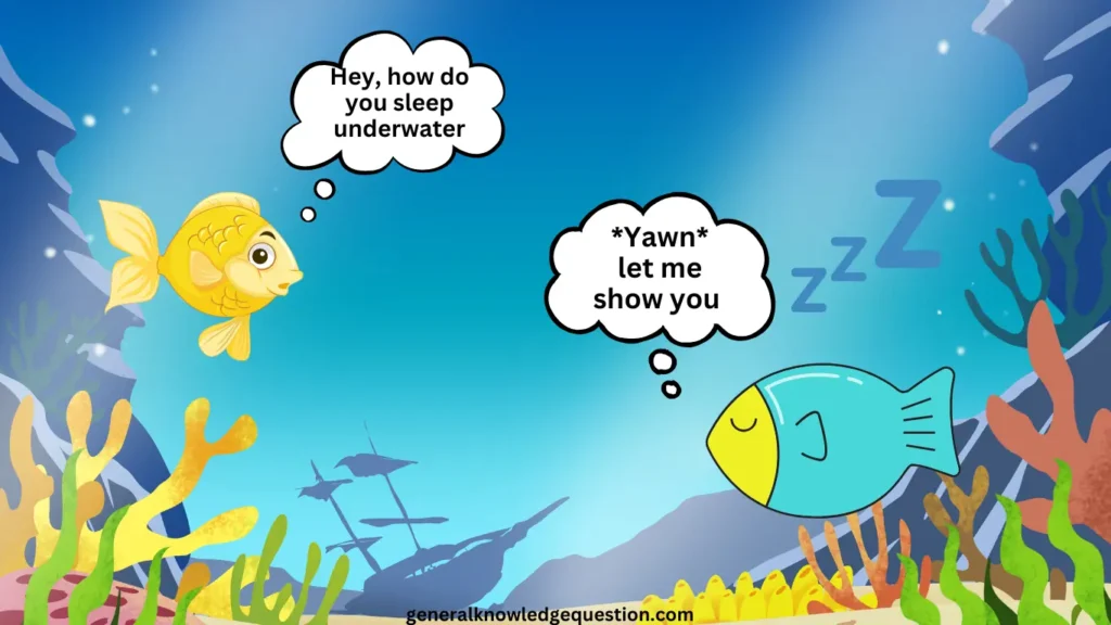 Do fish really sleep